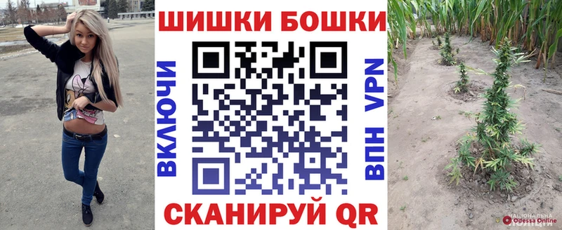 Бошки Шишки ГИДРОПОН  купить  цена  Баймак 
